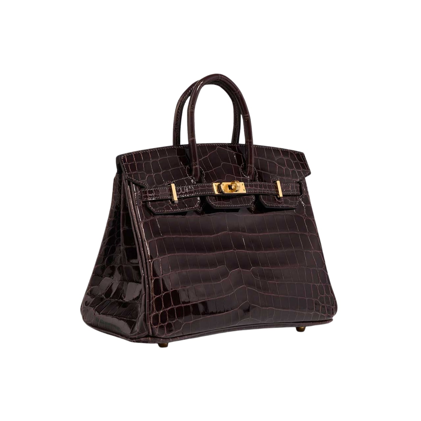Hermès Birkin 25 Premium Cow Leather Platinum Palladium Hardware