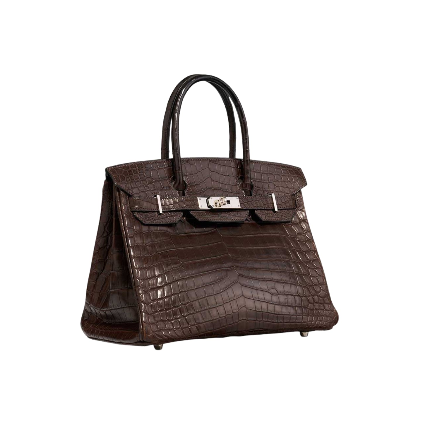 Hermès Birkin 25 Premium Cow Leather Platinum Palladium Hardware