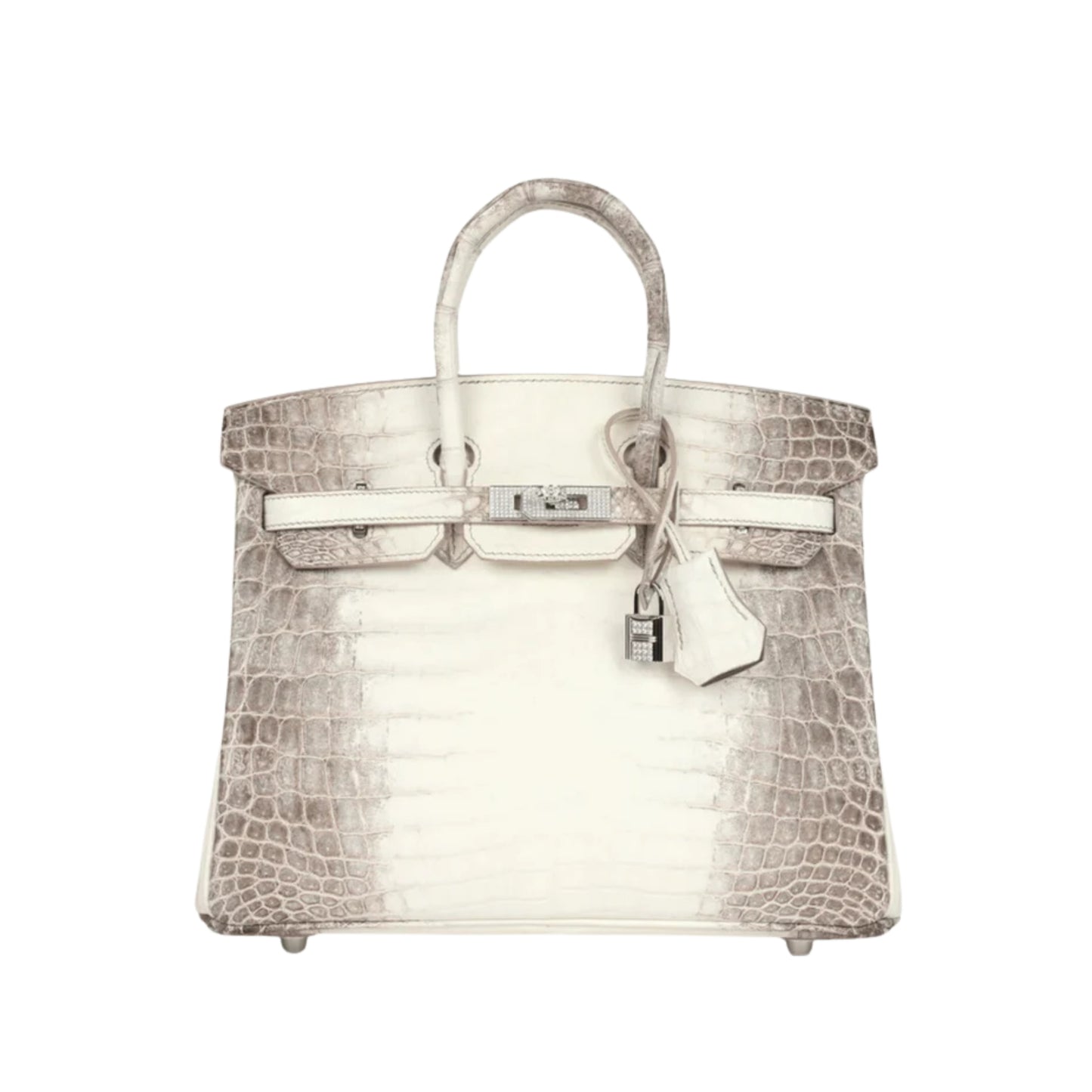Hermès Birkin 25cm Premium Cow Leather Palladium Hardware