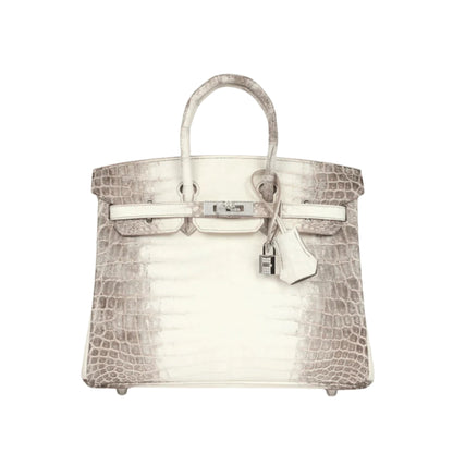 Hermès Birkin 25cm Premium Cow Leather Palladium Hardware