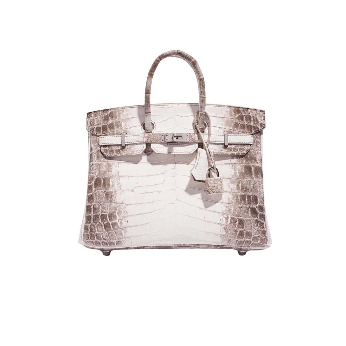 Hermès Birkin 25cm Premium Cow Leather Palladium Hardware