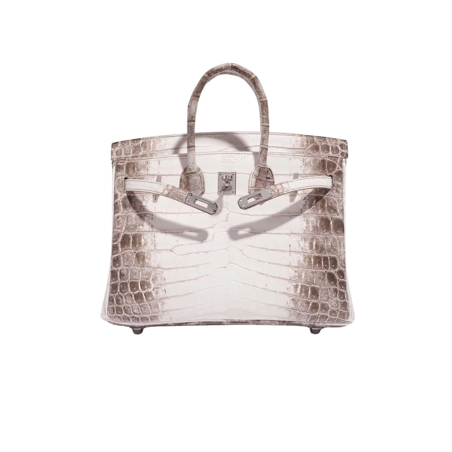 Hermès Birkin 25cm Premium Cow Leather Palladium Hardware