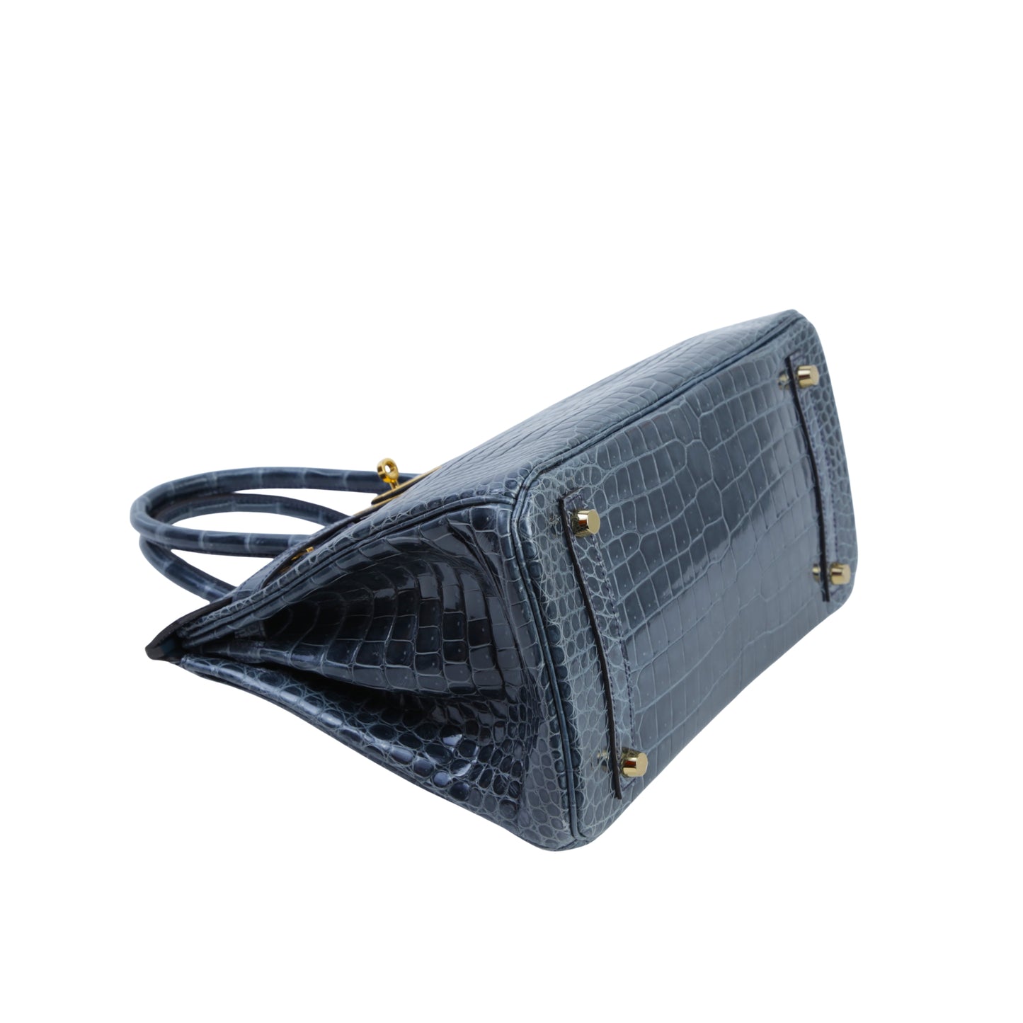 Hermès Birkin 25cm Premium Cow Leather Platinum Hardware